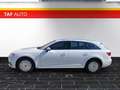 Audi A4 Avant 2,0 TDI Blanc - thumbnail 4