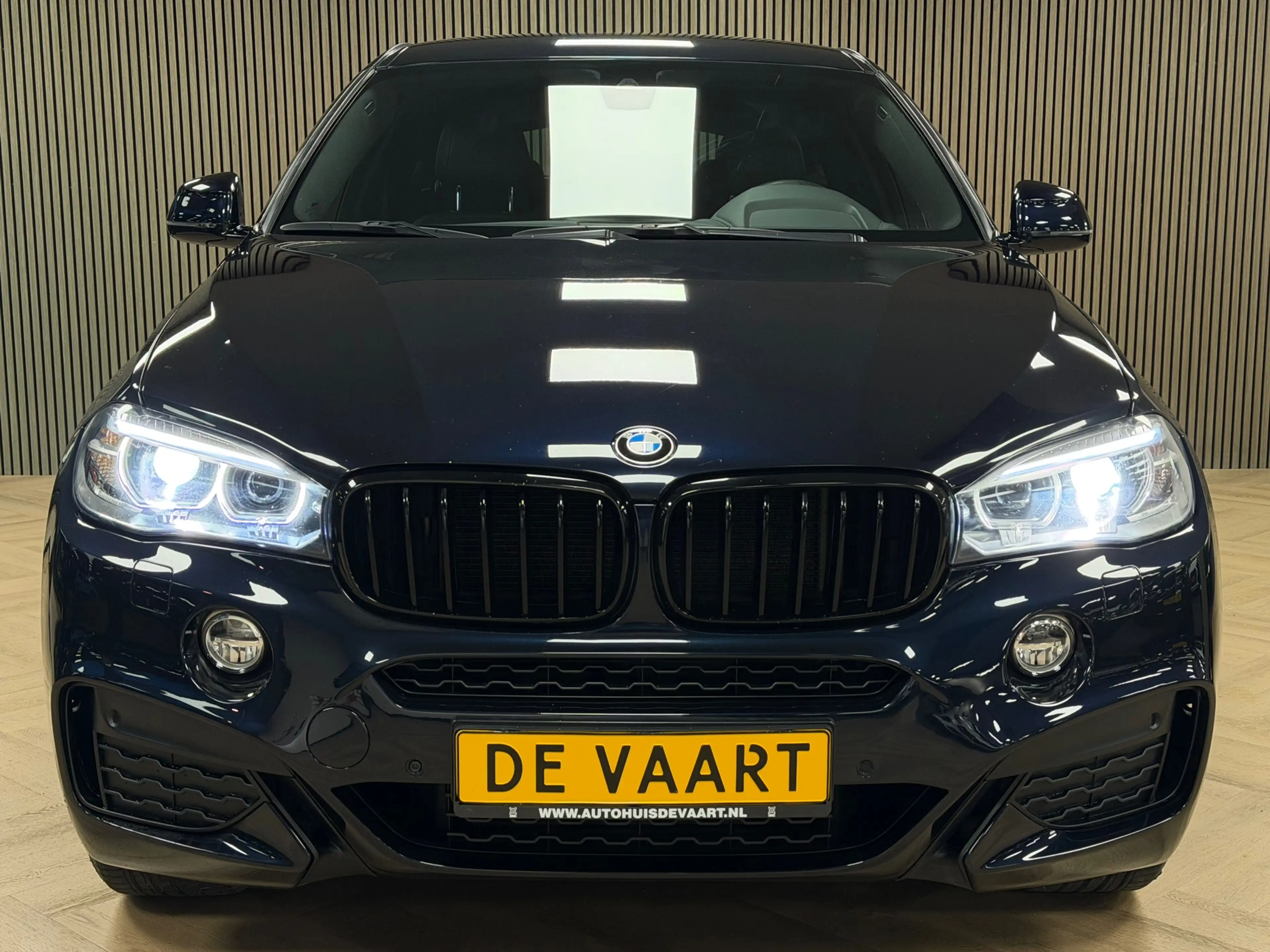 BMW X6 XDrive30d High Executive AUT. NAVIGATIE CAMERA CRU — photo 2