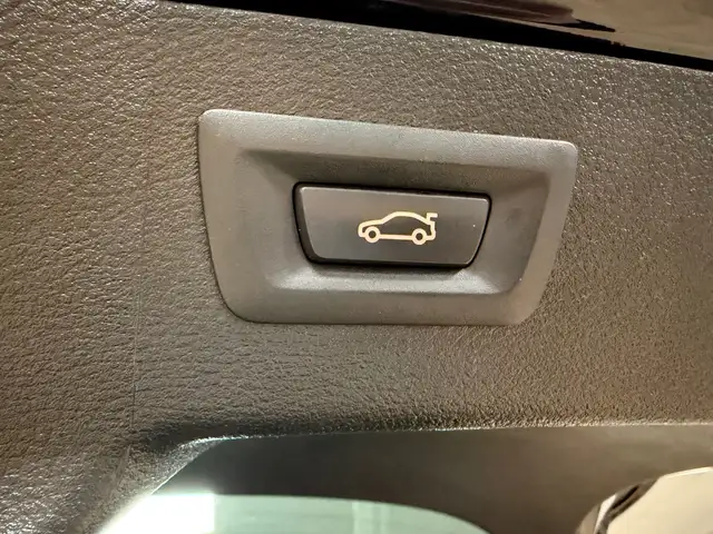 BMW X6 view 7