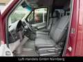 Mercedes-Benz Sprinter II Kombi 315CDI Klima 9Sitzer Rampe Sta Rosso - thumbnail 8