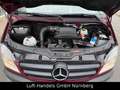 Mercedes-Benz Sprinter II Kombi 315CDI Klima 9Sitzer Rampe Sta Rosso - thumbnail 13