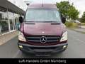 Mercedes-Benz Sprinter II Kombi 315CDI Klima 9Sitzer Rampe Sta Rosso - thumbnail 2