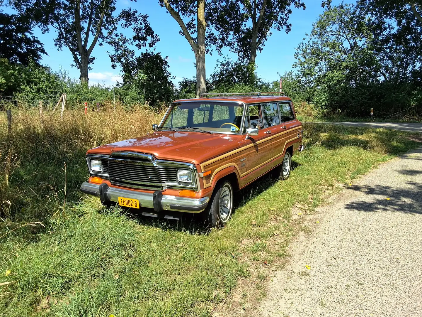Jeep Wagoneer Wagoneer undefined Brons - 2