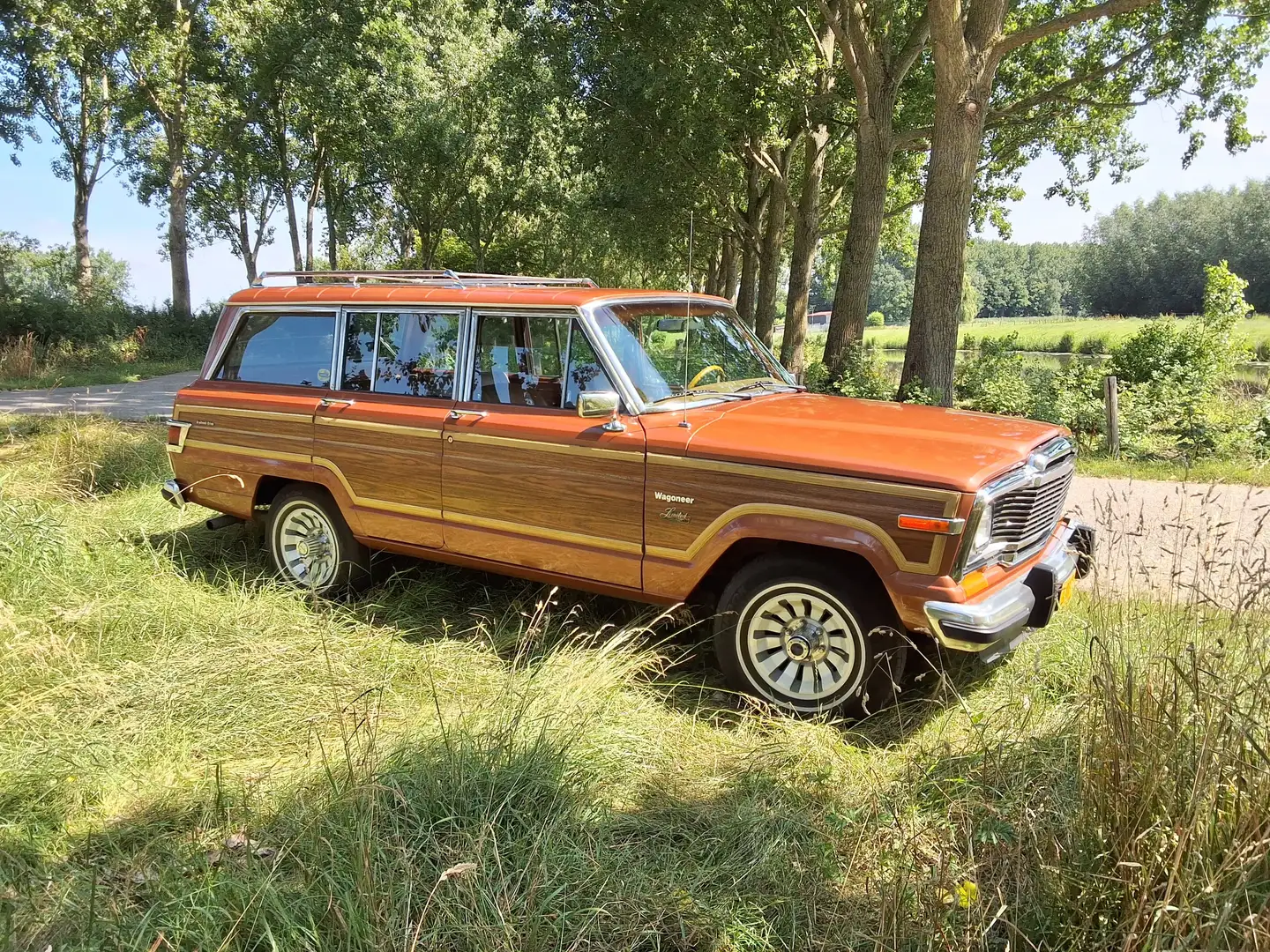 Jeep Wagoneer Wagoneer undefined Brons - 1