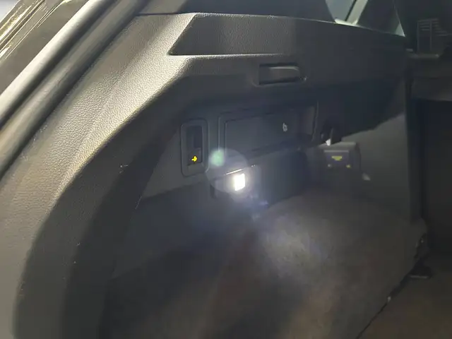 Volkswagen Tiguan view 29