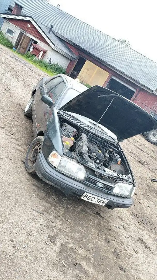 Ford Sierra Sierra CLX (LX) - 1