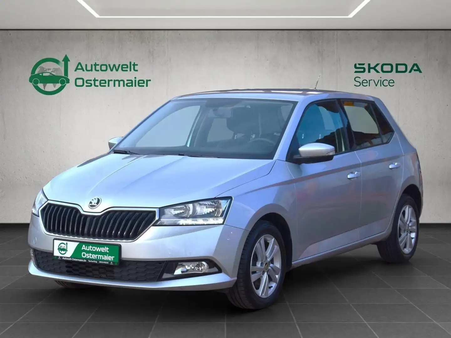 Skoda Fabia 1.0 TSI Ambition*Climatic*SHZ*PDC Argent - 1