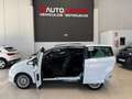 Ford B-Max 1.6TDCi Titanium 95 Blanco - thumbnail 7