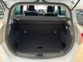 Ford B-Max 1.6TDCi Titanium 95 Blanco - thumbnail 18