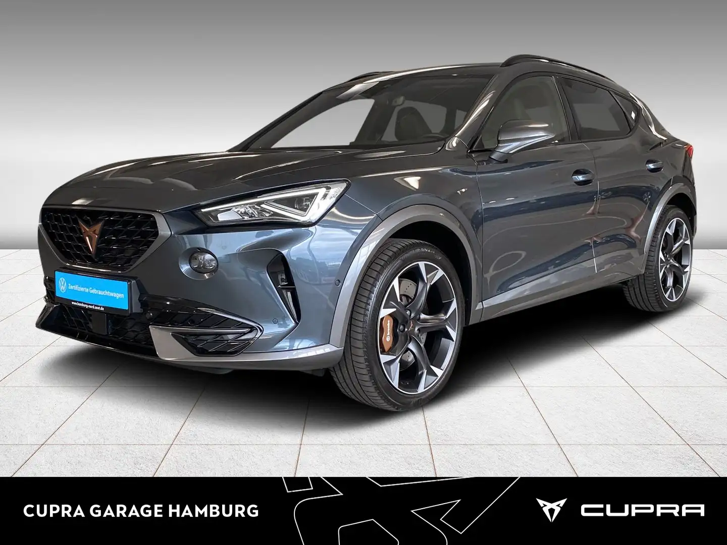 CUPRA Formentor VZ 2.0 TSI 4Drive DSG Beats Kamera LED Grau - 1