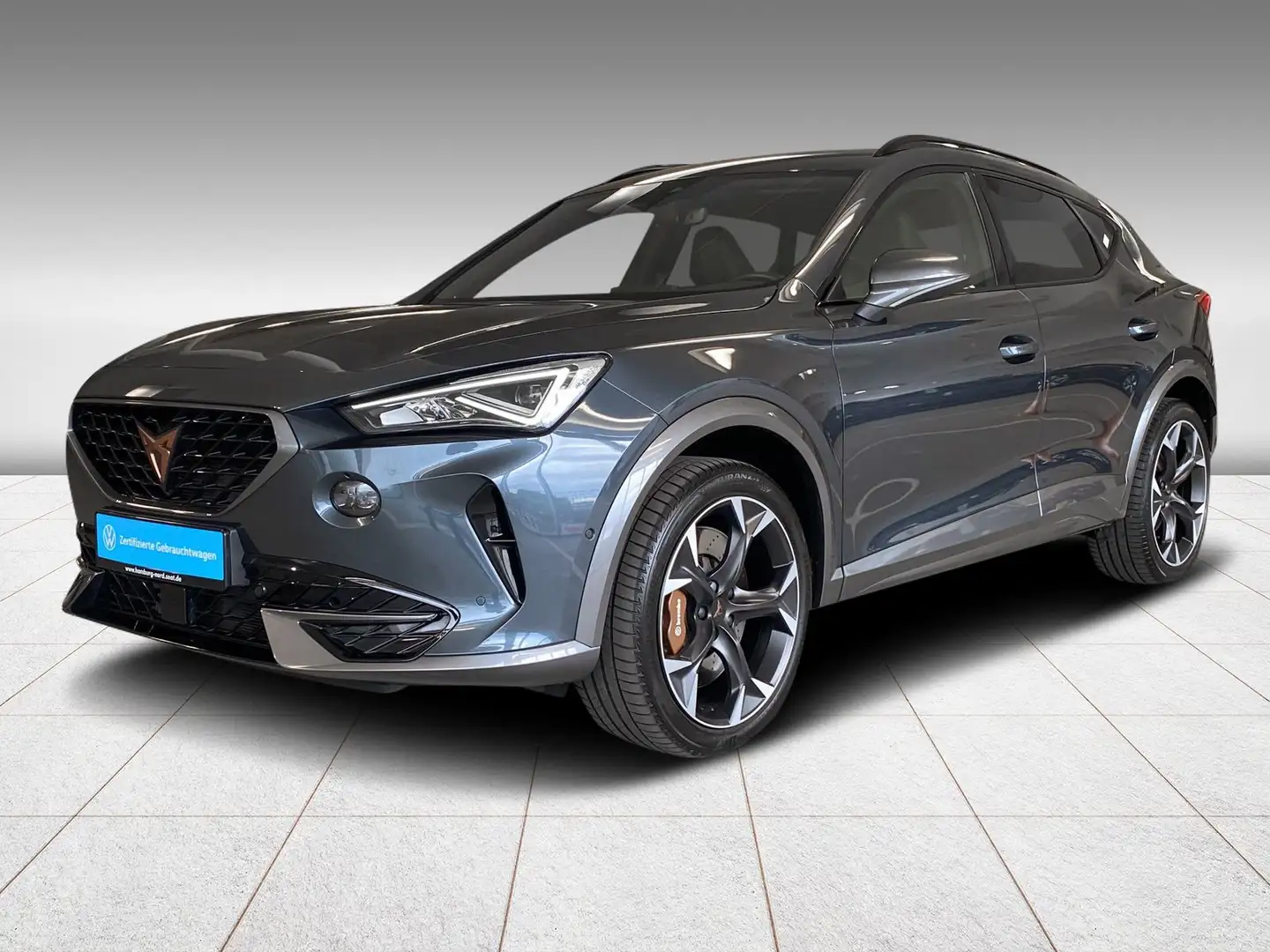 CUPRA Formentor VZ 2.0 TSI 4Drive DSG Beats Kamera LED Grau - 2