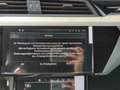 Audi Q8 e-tron Q8 e-tron Sportback S-line  MATRIXLED+NAVI+AHK+ Grau - thumbnail 16