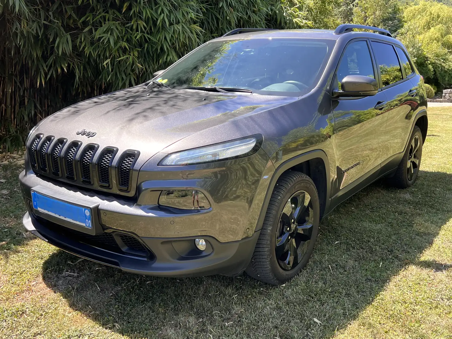 Jeep Cherokee Cherokee 2.2L Multijet S Gris - 2