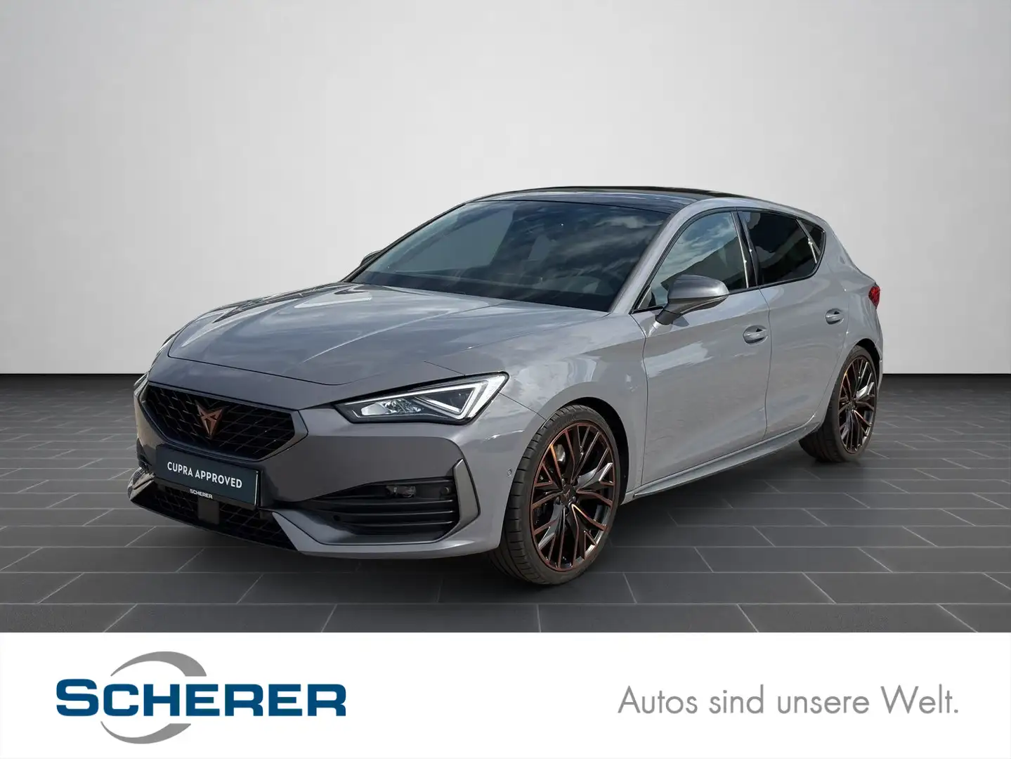 CUPRA Leon 2.0 TSI VZ PANO SHZ LED Gris - 1
