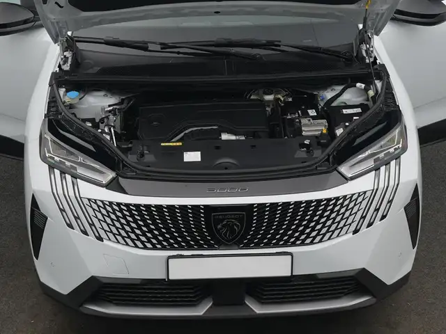 Peugeot 3008 view 8