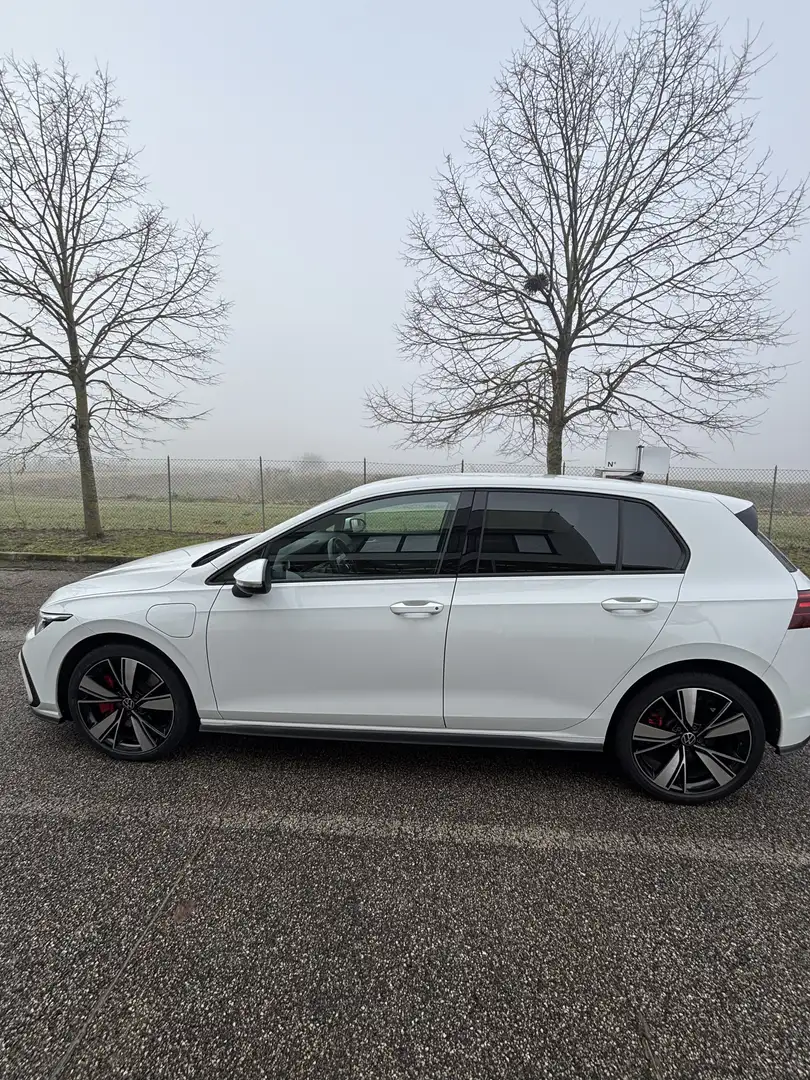 Volkswagen Golf GTE 1.4 dsg - 1