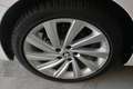 Skoda Octavia Sportline TDI Weiß - thumbnail 5