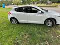Renault Megane 1.5 dCi Collect. S&S Wit - thumbnail 5