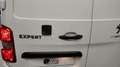 Peugeot Expert FGN TOLE STANDARD 2.0  BLUEHDI 120 S\u0026amp;S /  White - thumbnail 15