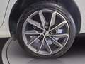 Skoda Kamiq 1.0 tsi dark shade 110cv Bianco - thumbnail 12