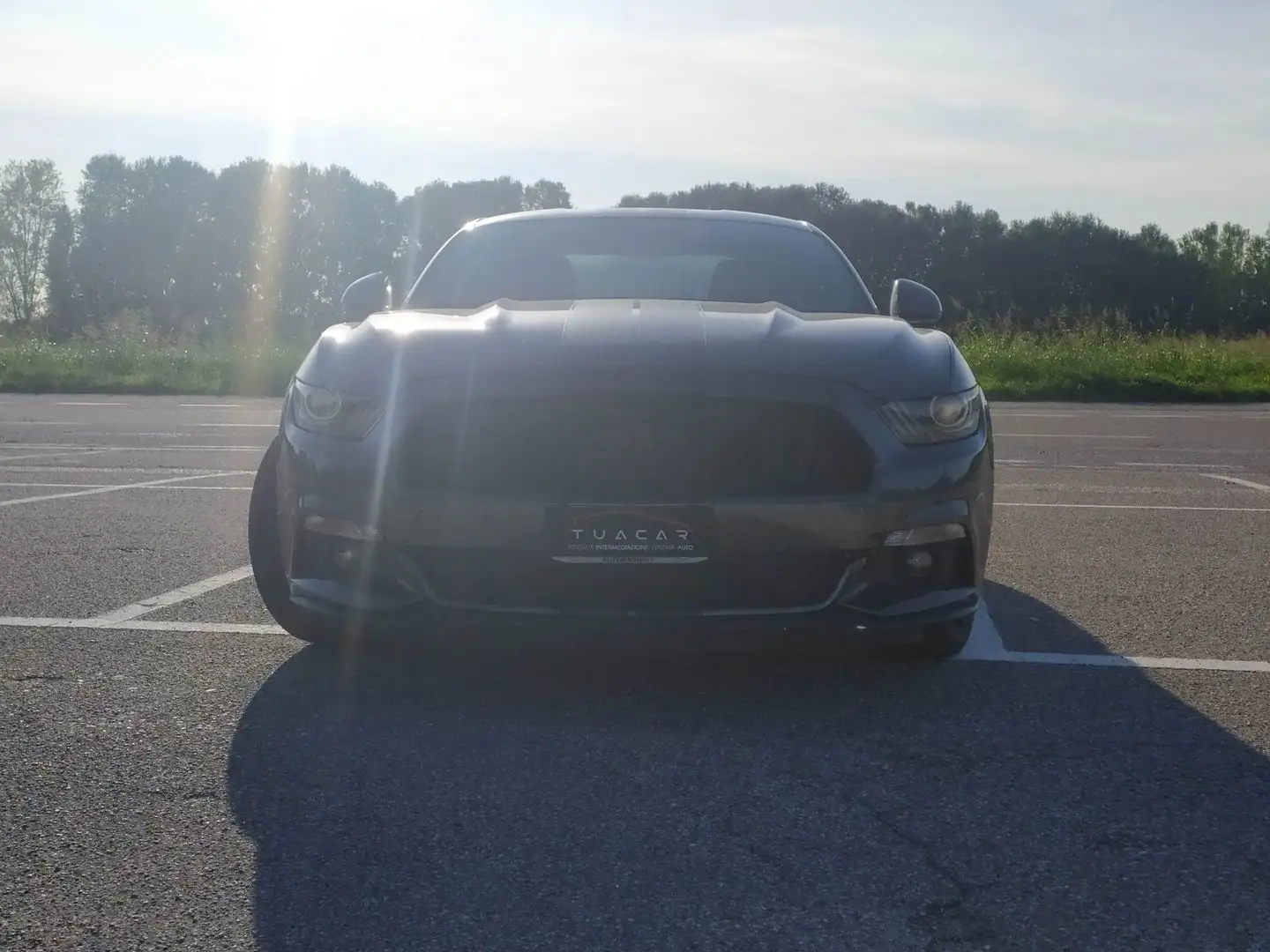 Ford Mustang 2.3 EcoBoost Grigio - 2