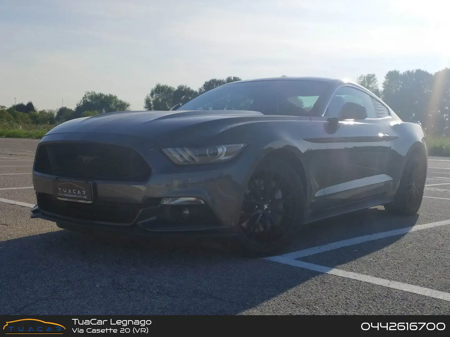 Ford Mustang 2.3 EcoBoost Grigio - 1