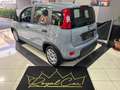Fiat Panda 1.0 hybrid 70cv Gris - thumbnail 4