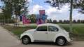 Volkswagen Kever Weiß - thumbnail 1