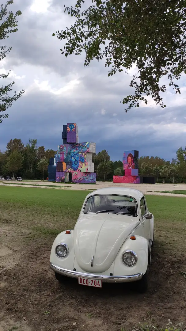 Volkswagen Kever Weiß - 2