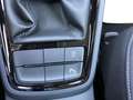 Skoda Kamiq 1.5 TSI Tour LED SmartLink PDC SHZ Blanco - thumbnail 14