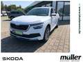 Skoda Kamiq 1.5 TSI Tour LED SmartLink PDC SHZ Blanco - thumbnail 1