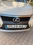 Lexus CT 200h CT 200h Executive+Navibox Executive+Navibox Blanco - thumbnail 9