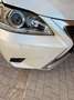 Lexus CT 200h CT 200h Executive+Navibox Executive+Navibox Blanco - thumbnail 25