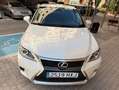 Lexus CT 200h CT 200h Executive+Navibox Executive+Navibox Blanco - thumbnail 1