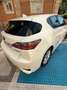 Lexus CT 200h CT 200h Executive+Navibox Executive+Navibox Blanco - thumbnail 34