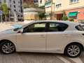 Lexus CT 200h CT 200h Executive+Navibox Executive+Navibox Blanco - thumbnail 32