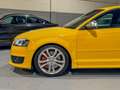 Audi A3 2.0 TFSI quattro Amarillo - thumbnail 22
