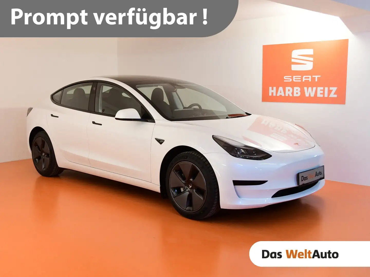 Tesla Model 3 Standard Range RWD Plus 57,5kWh Weiß - 1