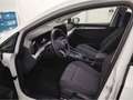 Volkswagen Golf VIII 1.5 TSI eHybrid DSG Life SHZ RFK ACC L Weiß - thumbnail 6