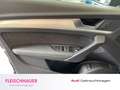Audi Q5 S line 50 TFSI-e quattro S tronic Grau - thumbnail 20