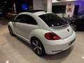 Volkswagen Beetle R-Line 1.4 TSI 150CV DSG BMT Blanco - thumbnail 13