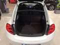 Volkswagen Beetle R-Line 1.4 TSI 150CV DSG BMT Blanco - thumbnail 31