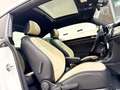 Volkswagen Beetle R-Line 1.4 TSI 150CV DSG BMT Blanco - thumbnail 34