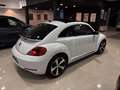 Volkswagen Beetle R-Line 1.4 TSI 150CV DSG BMT Blanco - thumbnail 16
