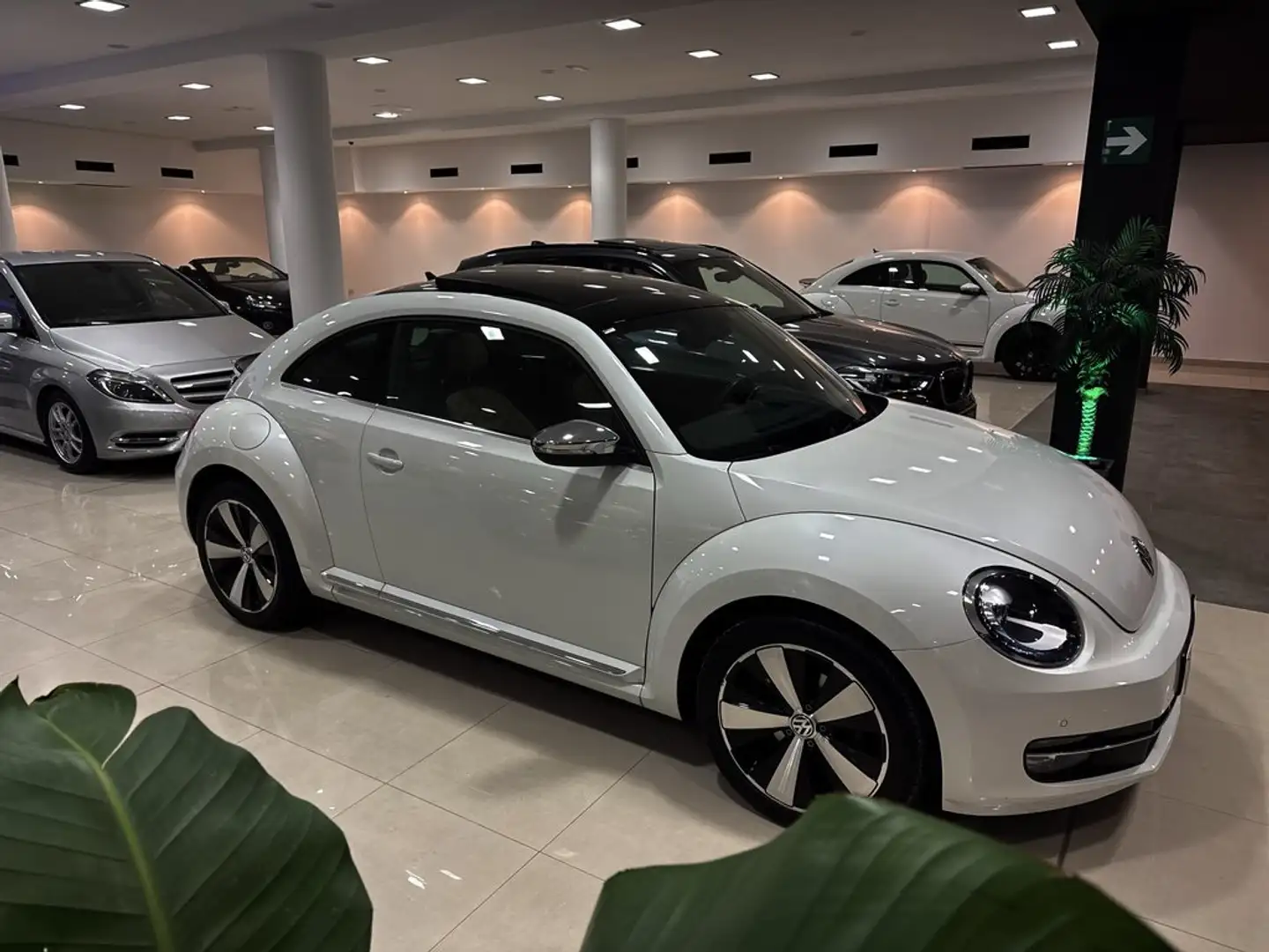 Volkswagen Beetle R-Line 1.4 TSI 150CV DSG BMT Blanco - 2