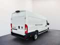 Fiat Ducato L4H2 MY25 Maxi 35 180PS/RADIO/KLIMA/RFK 132 kW ... Weiß - thumbnail 3