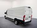 Fiat Ducato L4H2 MY25 Maxi 35 180PS/RADIO/KLIMA/RFK 132 kW ... Weiß - thumbnail 4