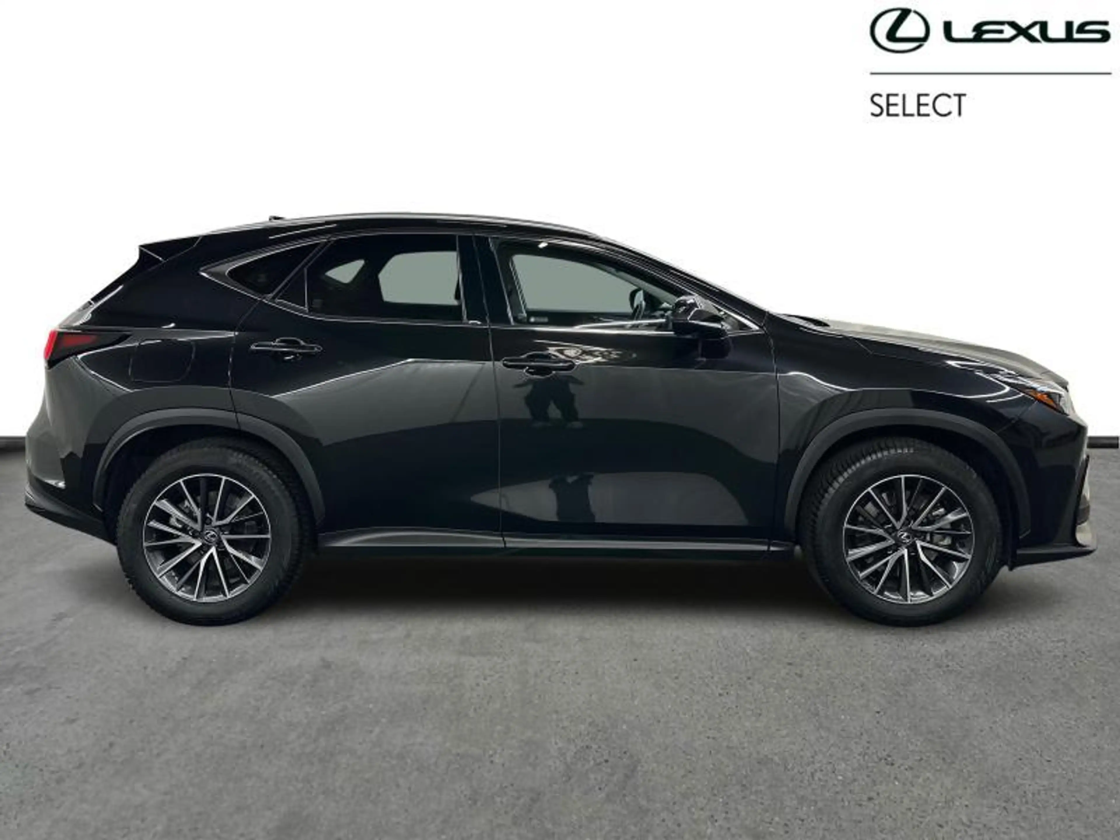 Lexus NX 450h+ Executive Line — photo 14