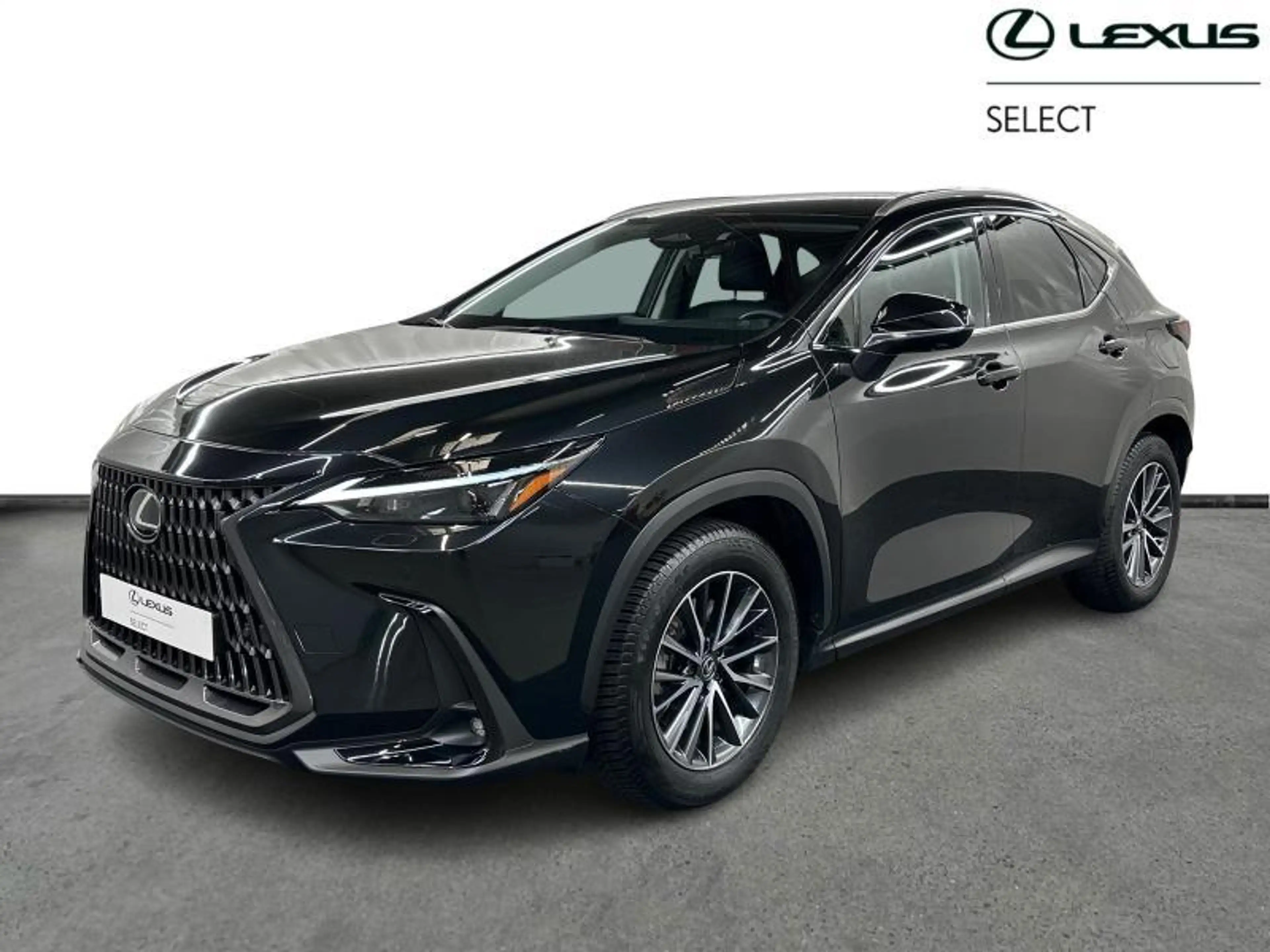 Lexus NX 450h+ Executive Line