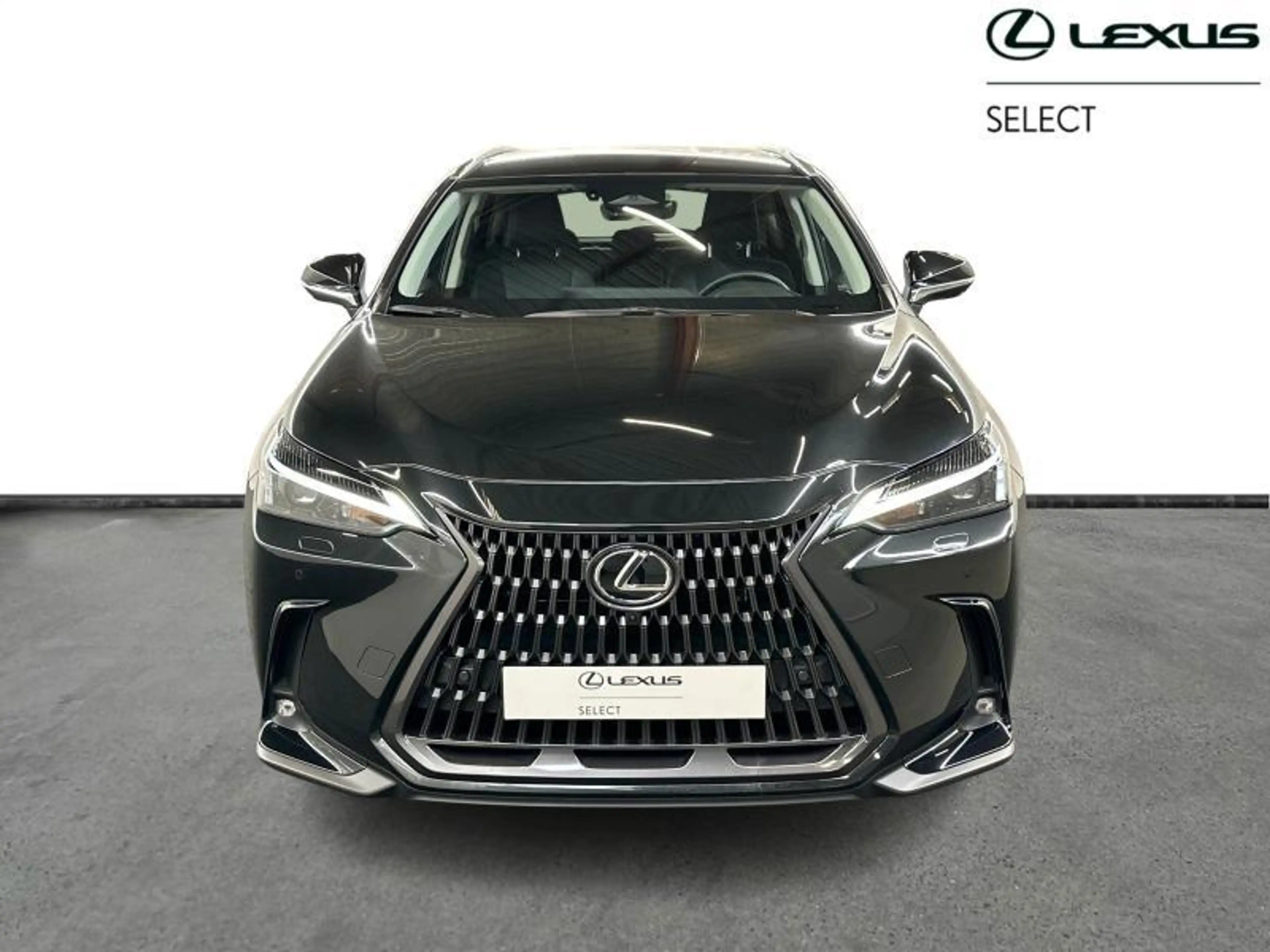 Lexus NX 450h+ Executive Line — photo 5
